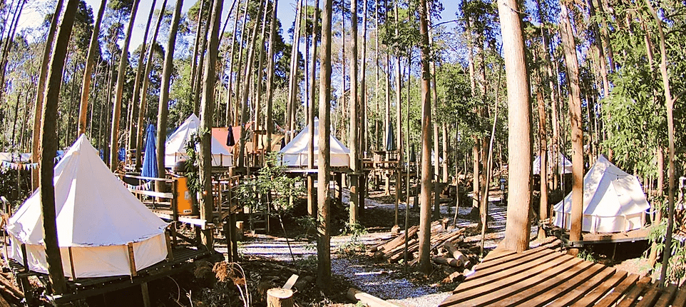 森の中のグランピングCamping・GREENは全部で17棟