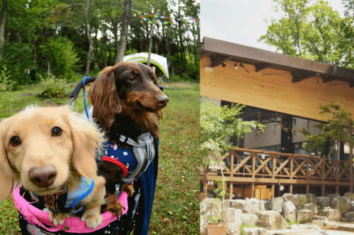 東海地方で愛犬とお泊まりできるおすすめグランピング１２施設 グランピング スタイル